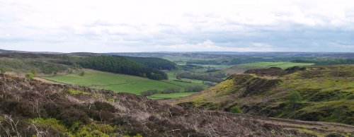 Looking back towards Kildale from Great Ayton Moor.