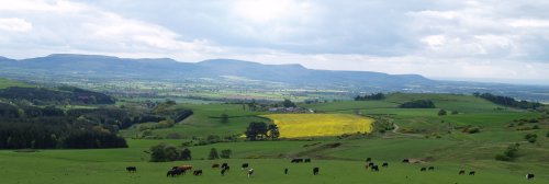 Ascending Roseberry Topping, view across to the Cleveland Hills.