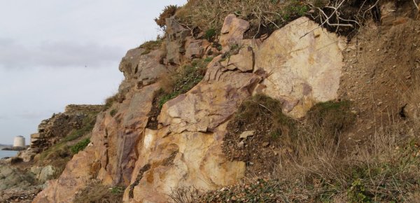The rocks near Sutton at the end/start of the walk. Glacial deposition on top of much older igneous rocks. The Martello tower on the far left is occupied!