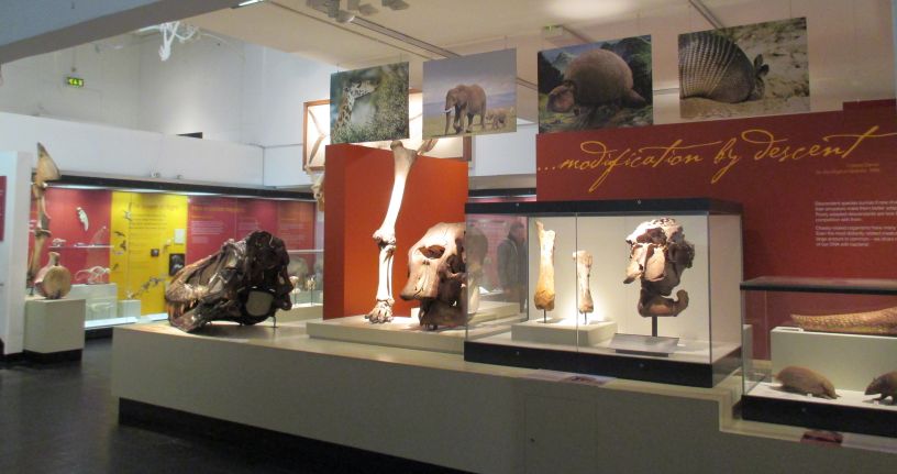 Ulster Museum & Art Gallery Belfast