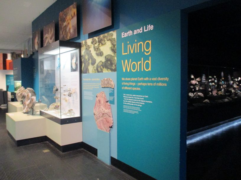 Ulster Museum & Art Gallery Belfast