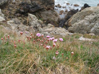 Howth to Sutton Cliff Walk, Co. Dubin, Ireland
