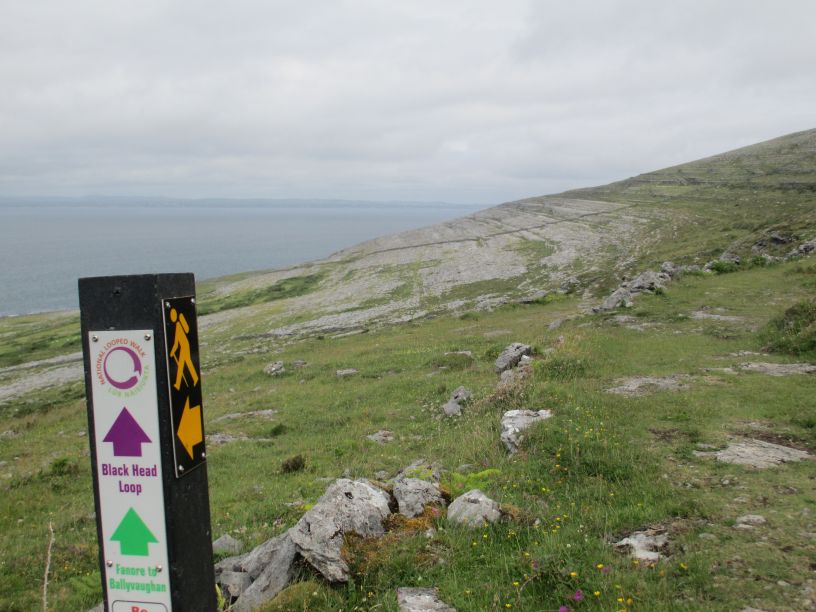 Black Head Loop Walk, Fanore, The Burren