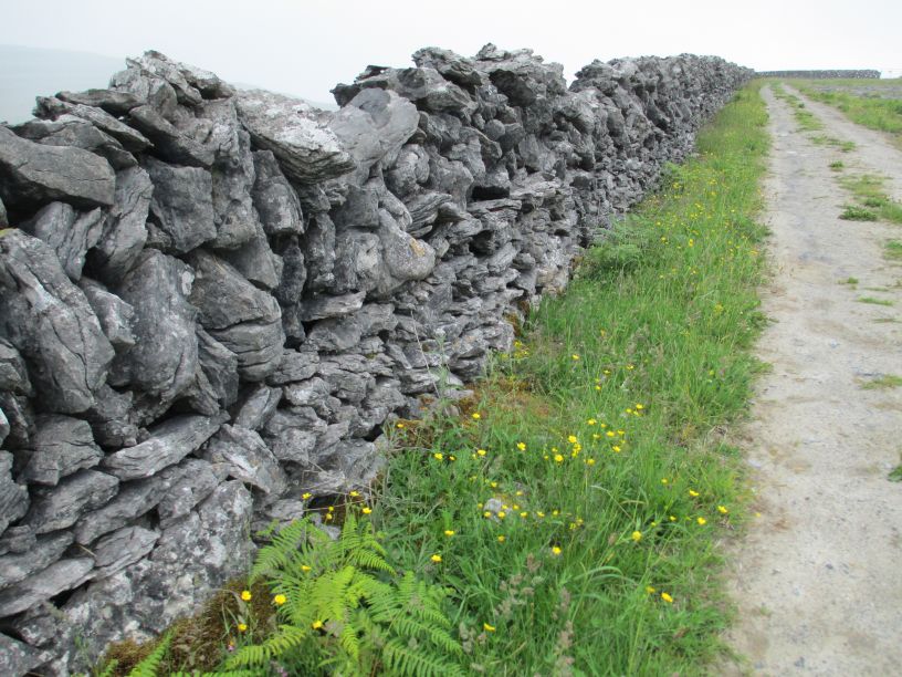 Black Head Loop Walk, Fanore, The Burren