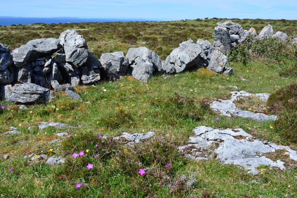 Black Head Loop Walk, Fanore, The Burren