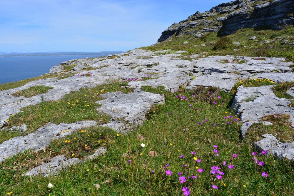 Black Head Loop Walk, Fanore, The Burren