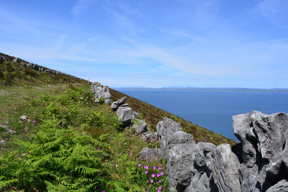 Black Head Loop Walk, Fanore, The Burren