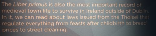 St Mary's Medieval Mile Museum Kilkenny St Mary's Medieval Mile Museum Kilkenny