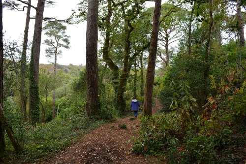 Glengarriff, West Cork, Ireland