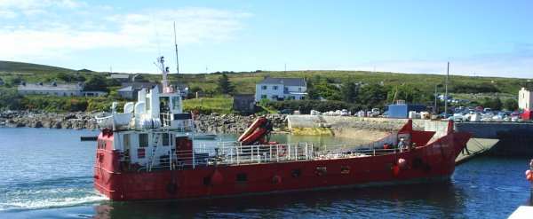 The sheep arriving Cleggan harbour from Inishbofin. The sheep arriving Cleggan harbour from Inishbofin.