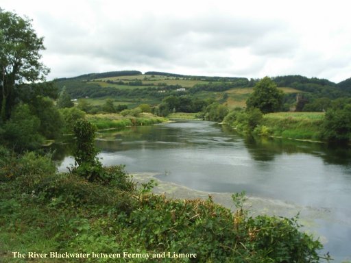 The River Blackwater near Fermoy, a good fishing river.
