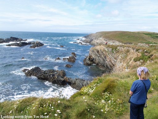 The beautiful wild coastal landscape of Toe Head, looking north.