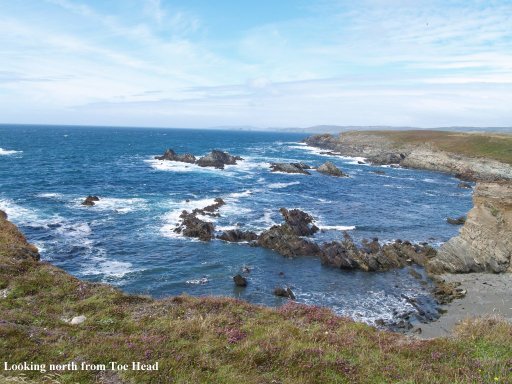 The beautiful wild coastal landscape of Toe Head, looking north.