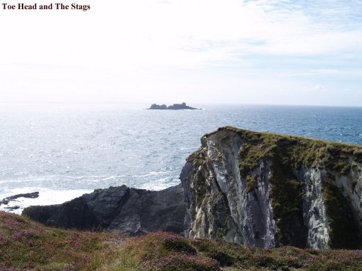 Toe Head and The Stags rocks.