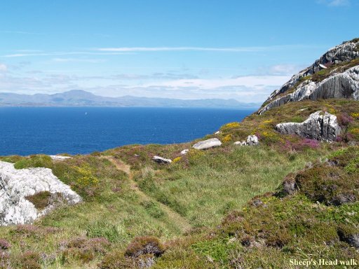 Looking across Bantry Bay to the Beara Peninsula and Hungry Hill (on left)