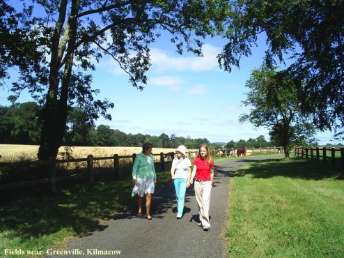 the lanes are most pleasant to walk around.