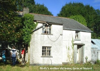 Skeard farm, sadly abandoned near Milltown, Kilmacow.