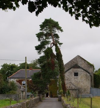 house and old mill Greenville, Kilmacow.