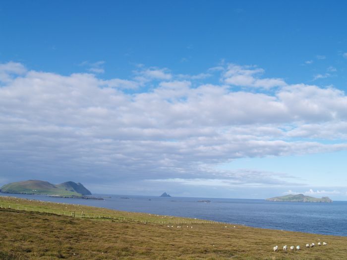 The coast near Dunquin, looking out to the Blasket Islands - Dingle Peninsular, Co. Kerry, West of Ireland