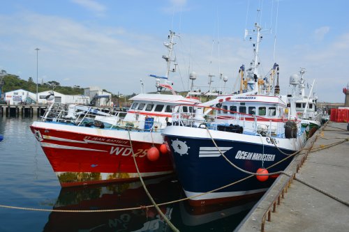 Fishing vessels WD25 St Jean Baptiste and G688 Ocean Harvester II in Dunmore East harbour Co. Waterford, Ireland
