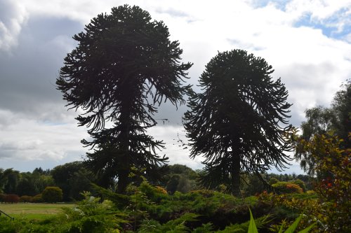 The John F. Kennedy Arboretum JFK Park