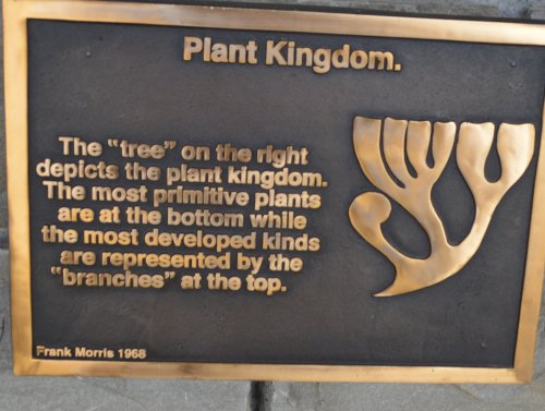 The John F. Kennedy Arboretum JFK Park