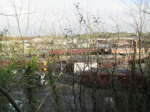 Class 37 diesel locomotive