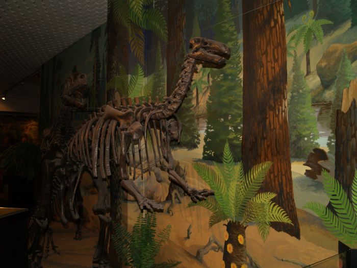 The land of the dinosaurs! World Museum Liverpool