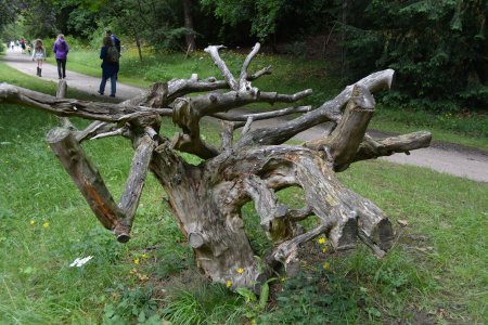 Chatsworth House Derbyshire Dales