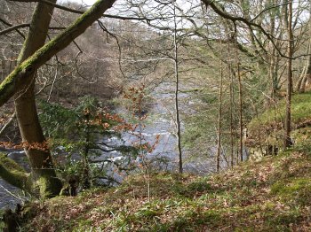 A circular walk to Cotherstone from Barnard Castle on the banks of the River Tees, County Durham, North East England