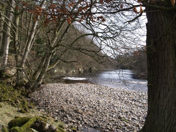 A circular walk to Cotherstone from Barnard Castle on the banks of the River Tees, County Durham, North East England