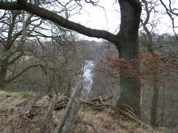 A circular walk to Cotherstone from Barnard Castle on the banks of the River Tees, County Durham, North East England