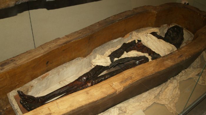 Hancock Museum