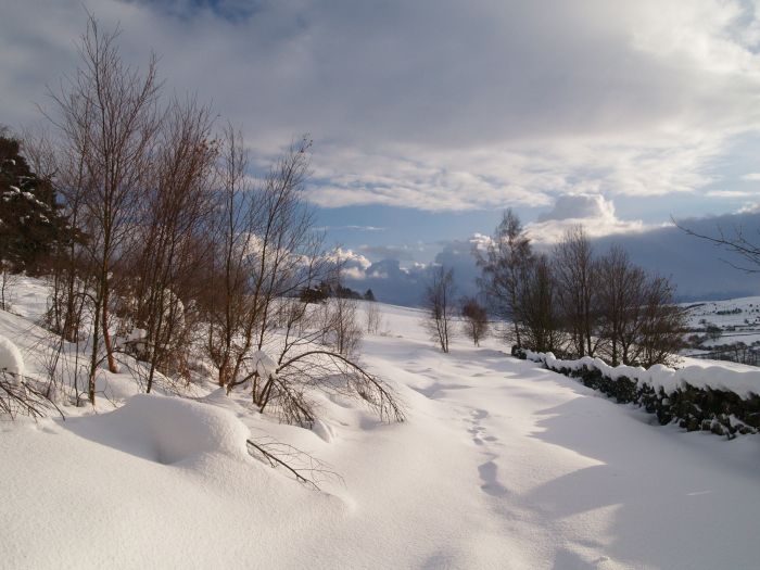 Danby Castleton Winter December 2010 January 2011