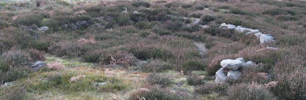 preserved remains of five prehistoric iron age hut circles above Sleddale