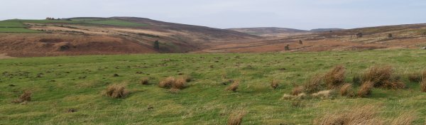 Wild and lonely Sleddale despite starting from the Commondale-Kildale road