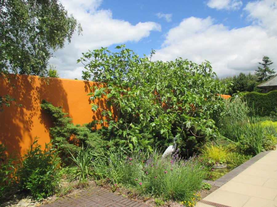 Harlow Carr RHS gardens near Harrogate