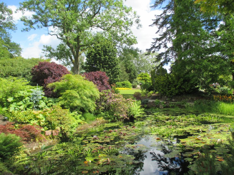 Harlow Carr RHS gardens near Harrogate