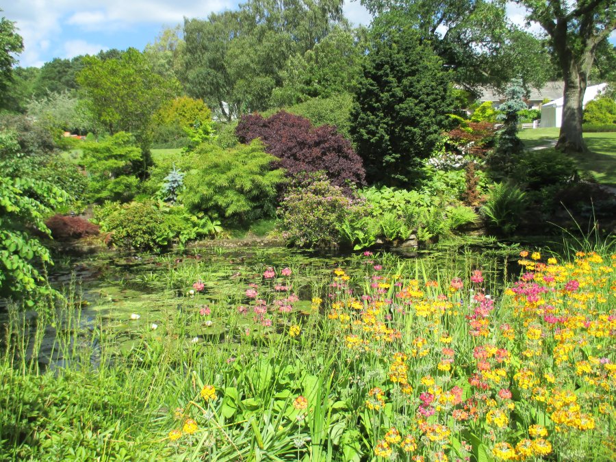 Harlow Carr RHS gardens near Harrogate
