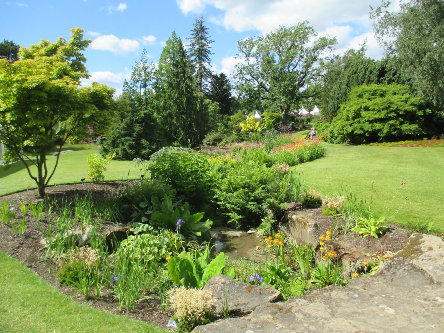 Harlow Carr RHS gardens near Harrogate