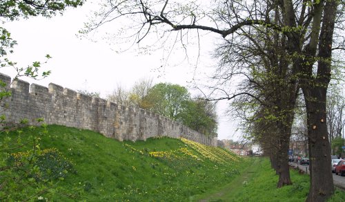 Part of the City defensive walls and ditch near Monk Bar on Lord Mayors Walk. A good site for peaceful daffodils!