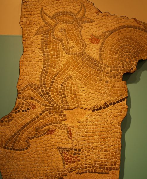 Yorkshire Museum