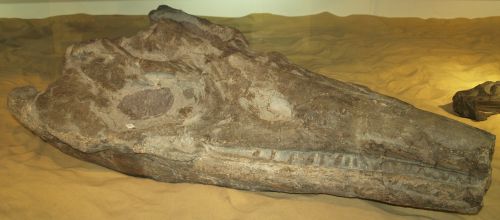 Yorkshire Museum