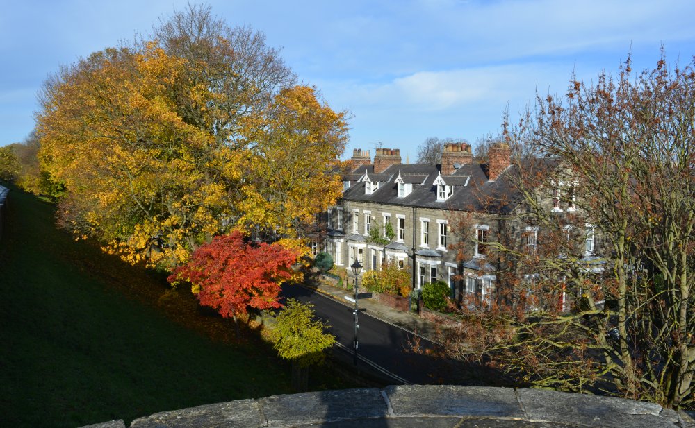 walking on the city walls of York
