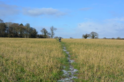crossing field footpath River Ouse walk from York to Beningbrough Hall
