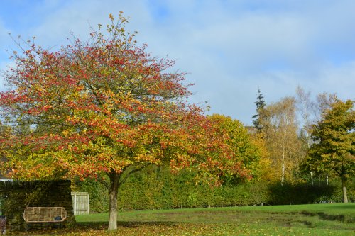Autumn colours Studley Royal walks park gardens in Autumn