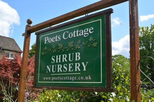 Poets Cottage Shrub Nursery, Lealholm village, North Yorkshire, England