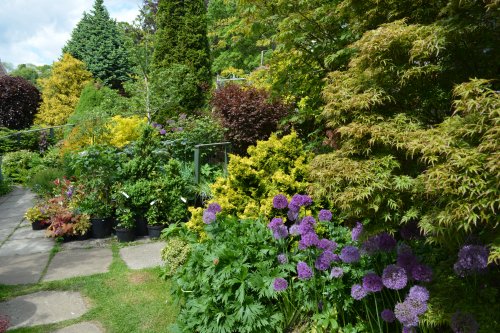 Poets Cottage Shrub Nursery, Lealholm village, North Yorkshire, England