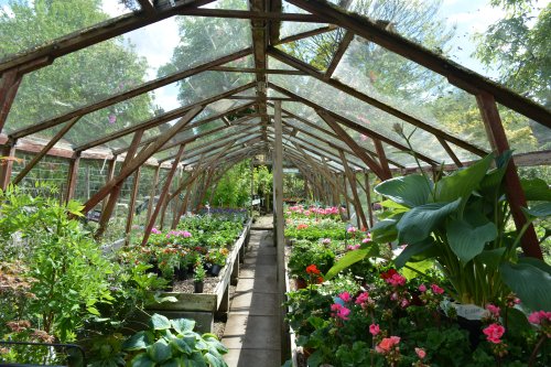 Poets Cottage Shrub Nursery, Lealholm village, North Yorkshire, England