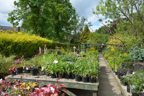 Poets Cottage Shrub Nursery, Lealholm village, North Yorkshire, England